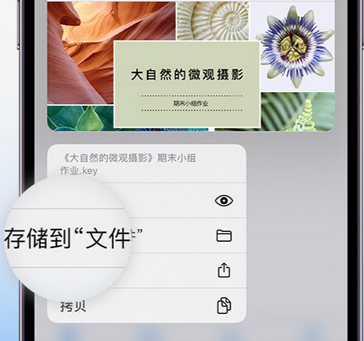 河北apple维修中心分享iPhone文件应用中存储和找到下载文件