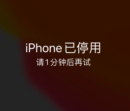 河北苹果手机维修分享:iPhone 显示“不可用”或“已停用”怎么办？还能保留数据吗？ 