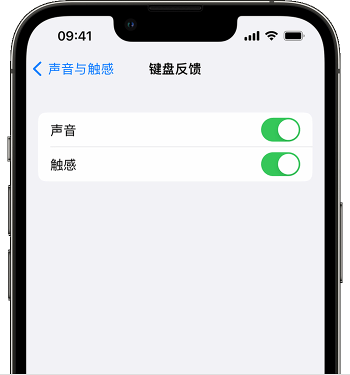 河北苹果14维修分享iPhone 14 系列机型如何开启键盘声音或触感反馈 