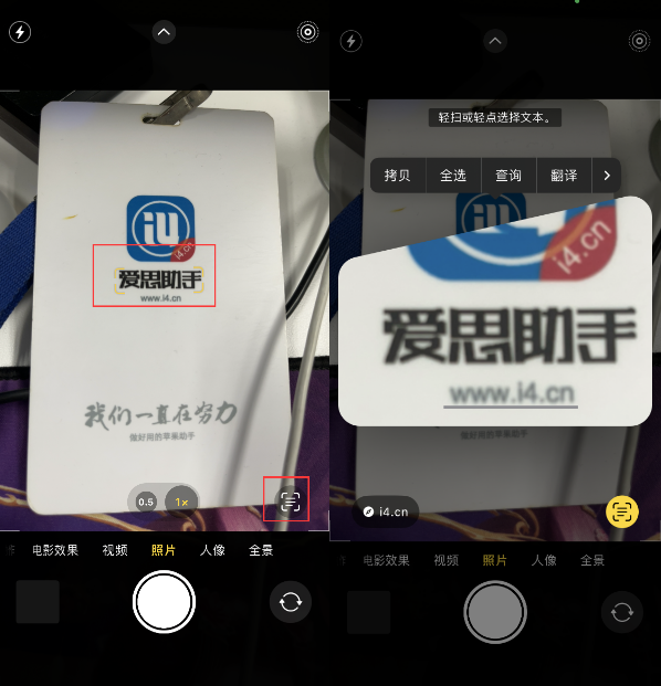 河北苹果手机维修分享升级iOS 16后如何通过相机翻译文本 