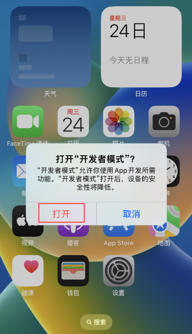 河北苹果手机维修分享如何打开开发者模式 