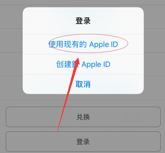 河北苹果手机维修分享两台iPhone设备可以同时登录一个Apple ID吗 