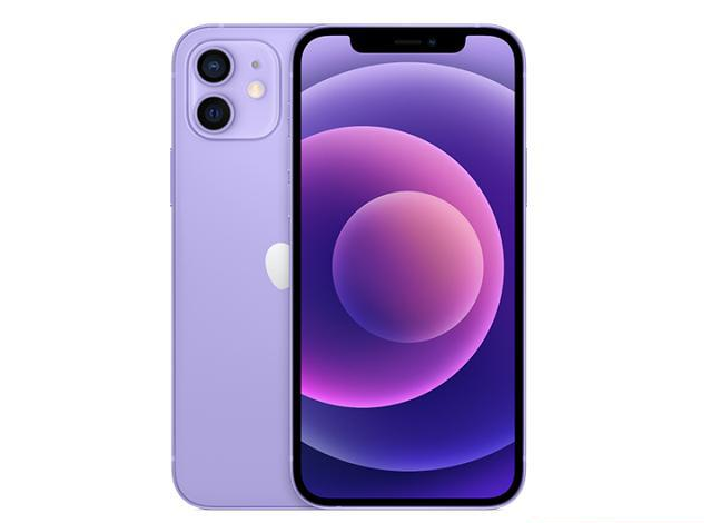 河北苹果手机维修分享现阶段要不要入手紫色版iPhone12 